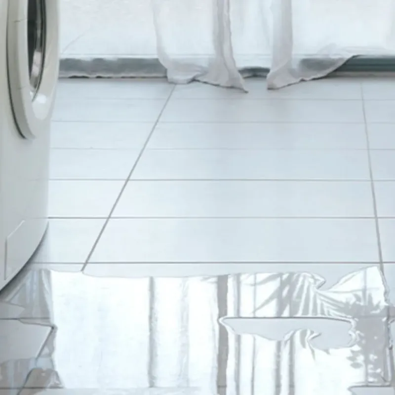 Appliance Leak Cleanup in Topeka, IN