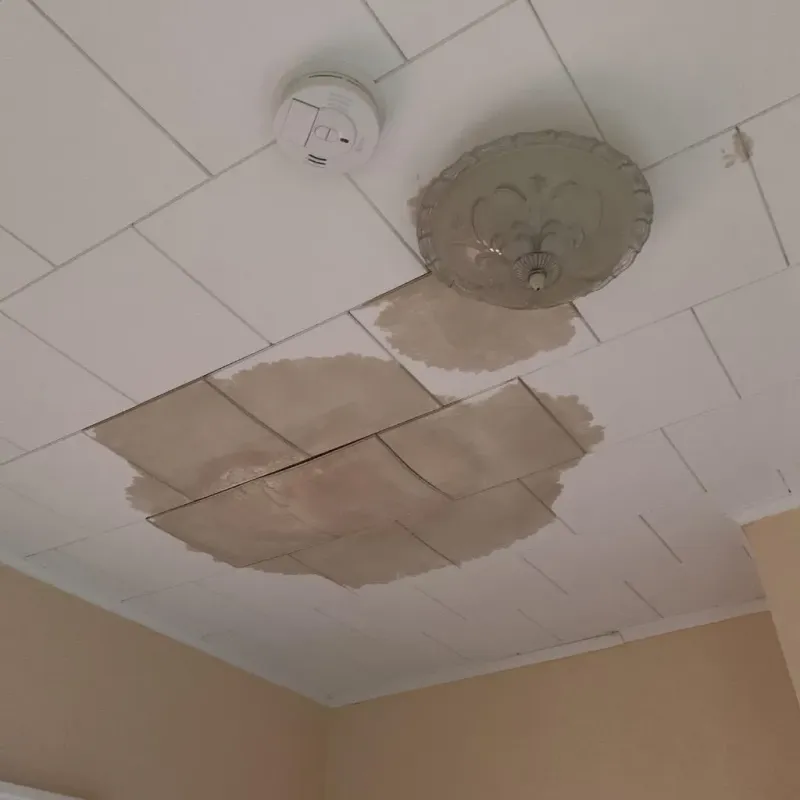 Ceiling Water Damage Repair in Topeka, IN
