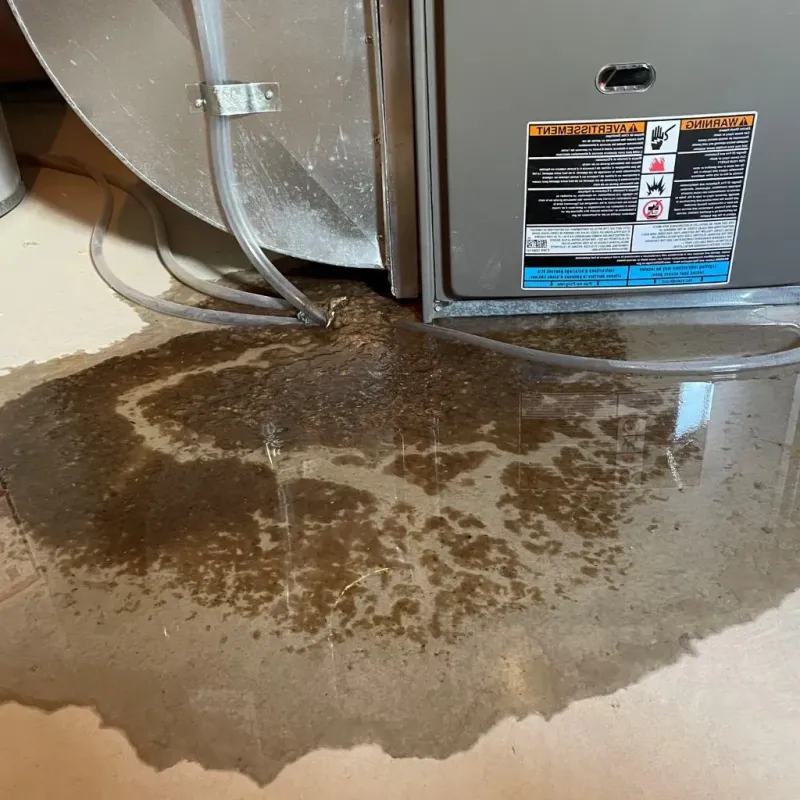 Pipe Burst and Leak Restoration in Topeka, IN