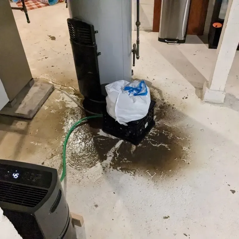 Sewage Backup Cleanup Service in Topeka, IN